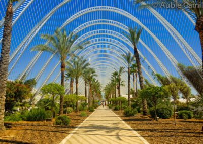 Valence