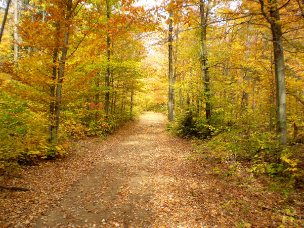 Trekking d&rsquo;automne : où partir en France pour voir les couleurs