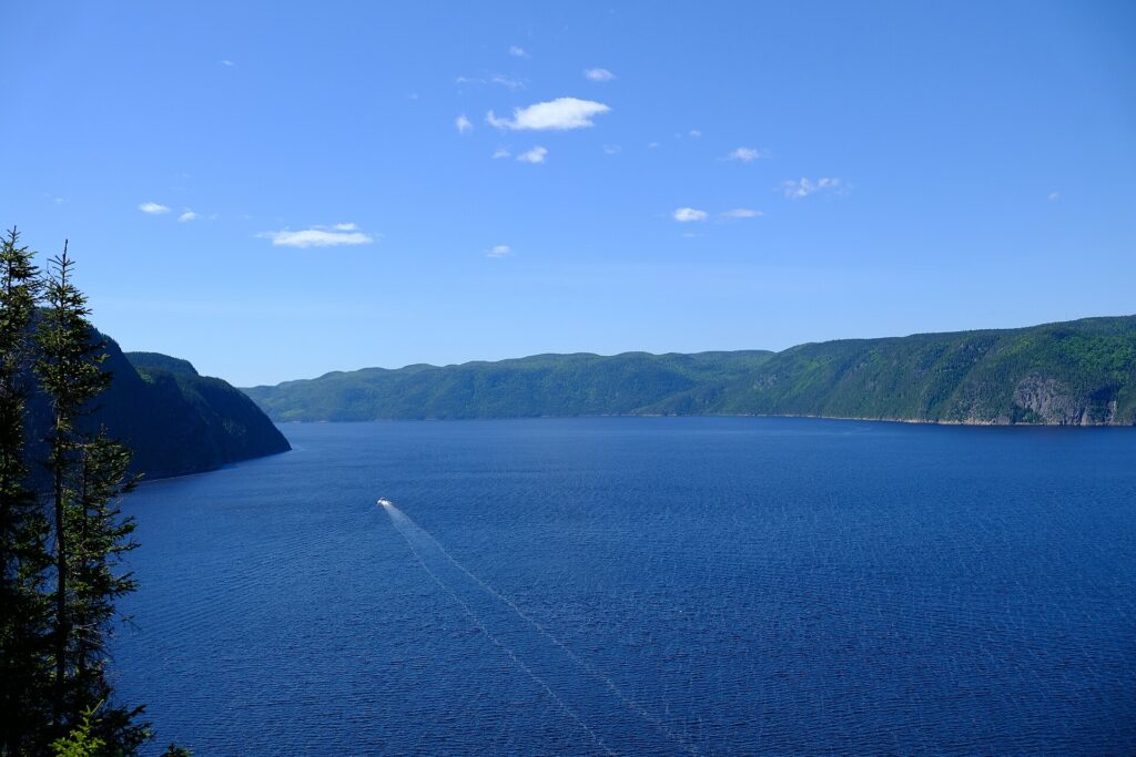 Fjord du Saguenay : 41 km de falaises entre bélugas et refuges