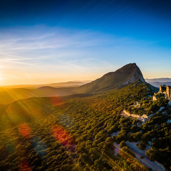 Grand Pic Saint-Loup en van : garrigue, ermitage et vignes au nord de Montpellier